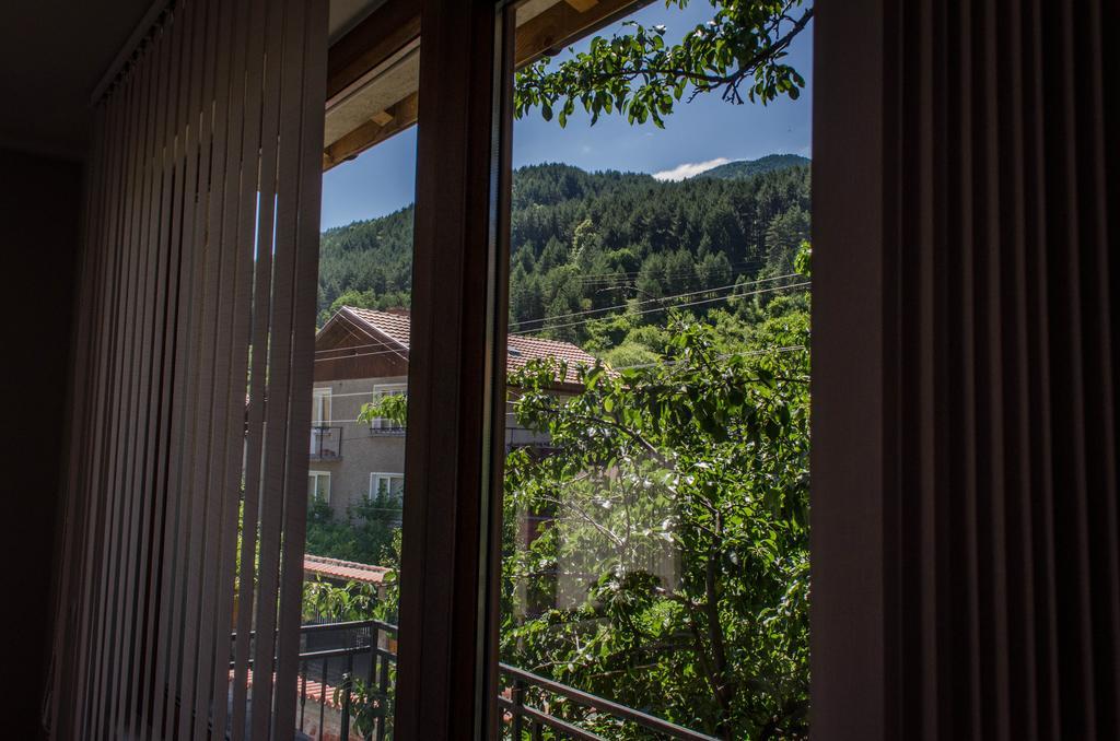 Dariya Guest House Sapareva Banja Rum bild